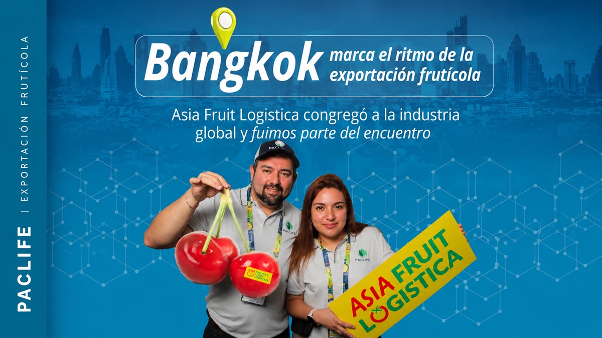 paclife asia.jpg